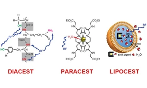 Graphic representing DIACEST, PARACEST and LIPOCEST agents