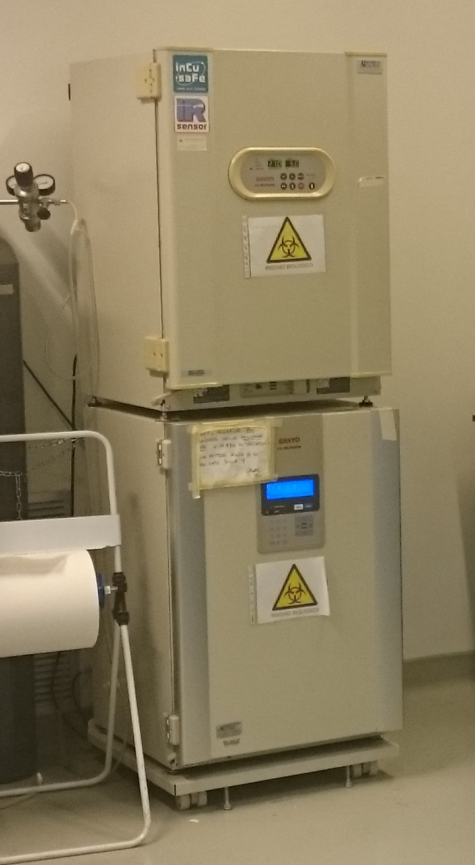 SANYO CO2 incubator