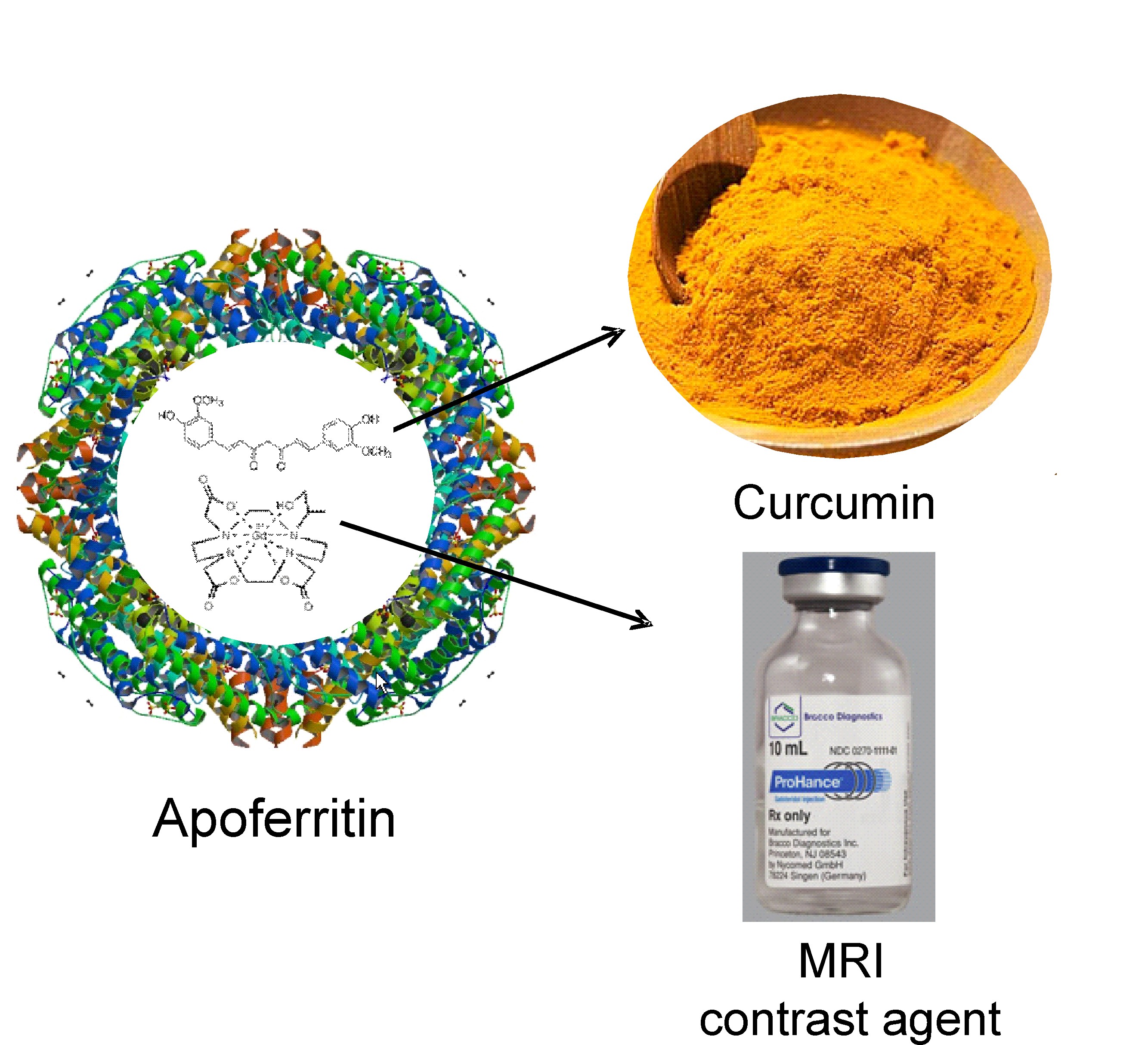 Apoferritin, curcumin and MRI contrast agents
