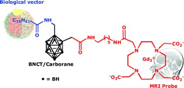 Gadolinium/boron-based agents in BNCT