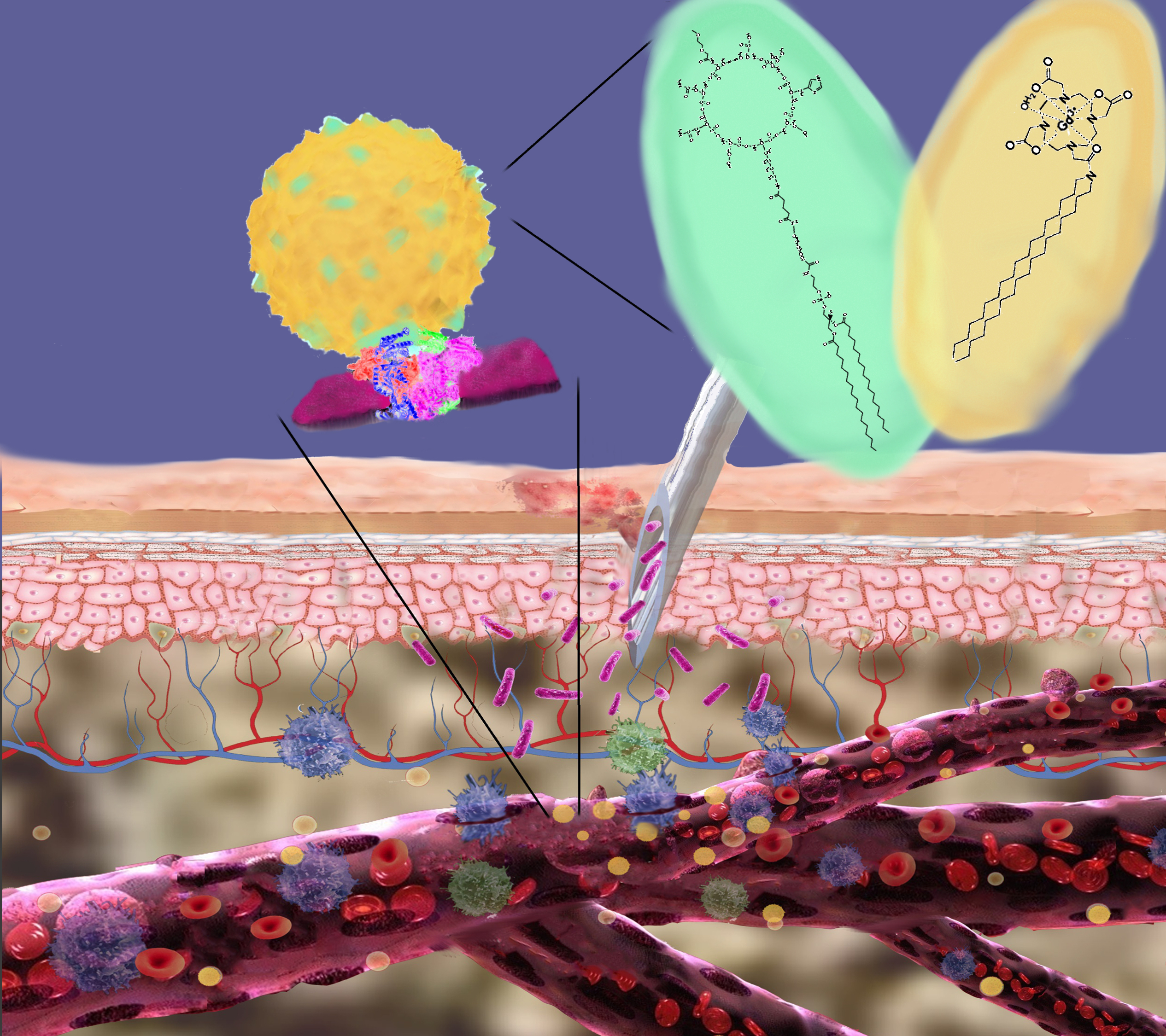 Design of targeting imaging probes