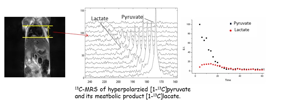 Imaging metabolism