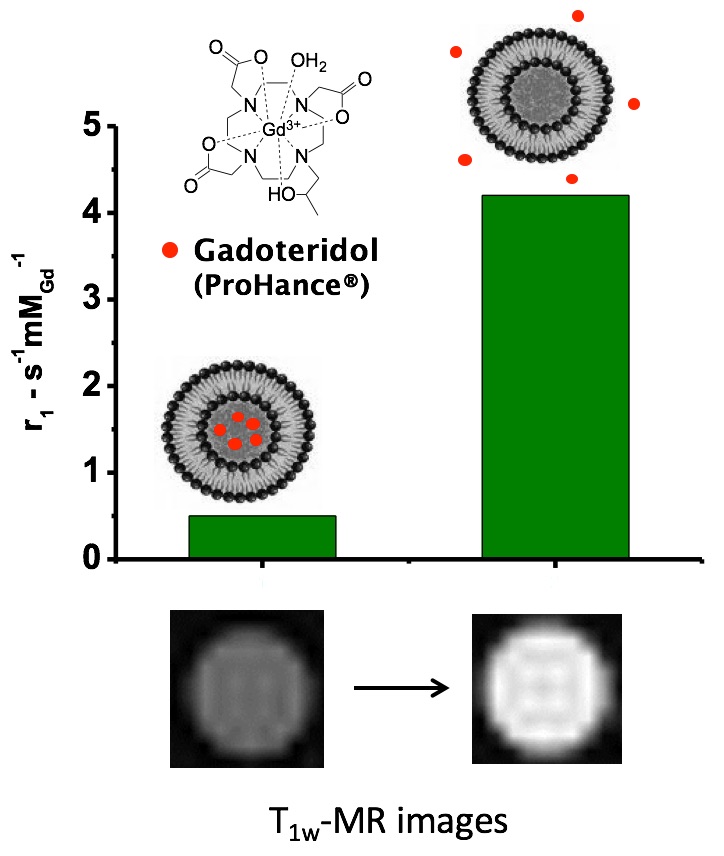 Gadoteridol in liposome T1w MRI images